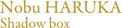 Nobu HARUKA Shadow box