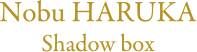 Nobu HARUKA Shadow box